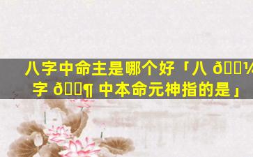 八字中命主是哪个好「八 🐼 字 🐶 中本命元神指的是」